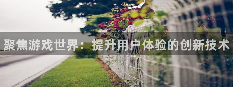奇亿娱乐娱乐是真的吗：聚焦游戏世界：提升用户体验的创新技术