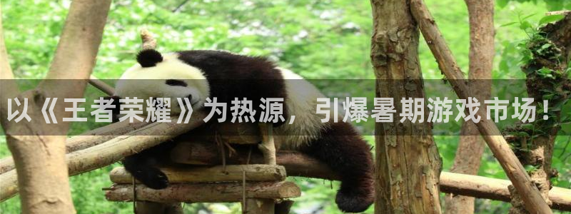 奇亿娱乐注册开户：以《王者荣耀》为热源，引爆暑期游戏市场！
