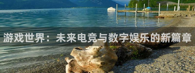 奇亿娱乐4开户：游戏世界：未来电竞与数字娱乐的新篇章