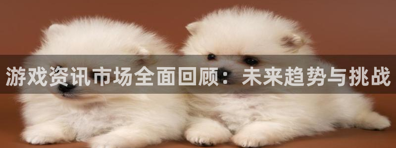 奇亿娱乐登录地址：游戏资讯市场全面回顾：未来趋势与挑战